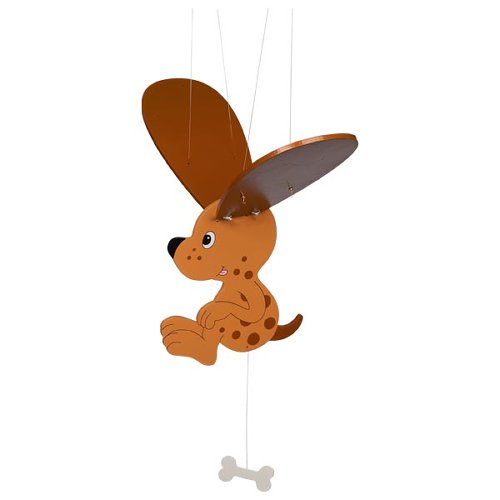 Dog, swinging animal