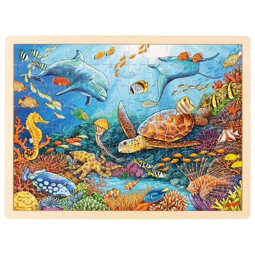 Puzzle, Great Barrier Reef
