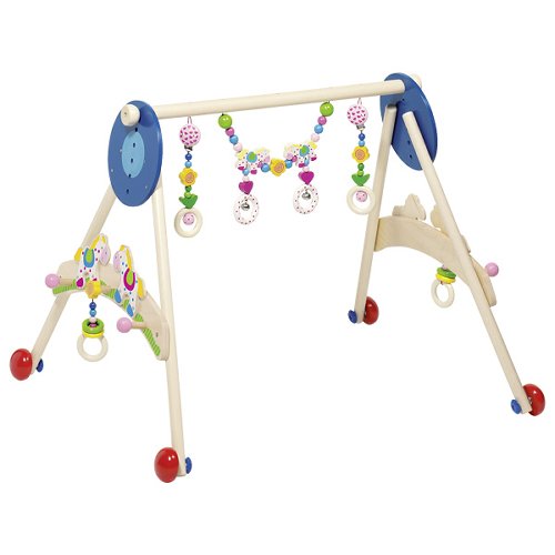 Baby gym and walking horse