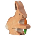 Hare with carrot